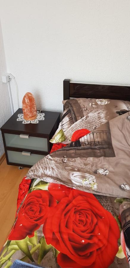 Apartament "Kometa" Podczele Kolobrzeg Dış mekan fotoğraf